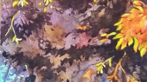 WP_20160207_13_18_36_Pro.jpg