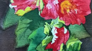 WP_20160726_19_52_16_Pro.jpg