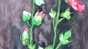 WP_20180121_12_20_39_Pro.jpg
