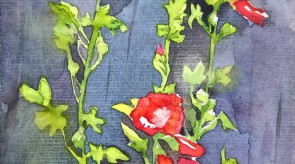 WP_20190925_08_59_15_Pro.jpg