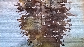 WP_20180818_13_38_59_Pro.jpg
