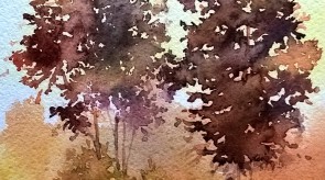 WP_20180818_13_43_18_Pro.jpg